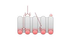 A Typical Web-And-Tube Pool Collector Design