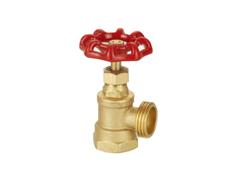 A typical drain valve